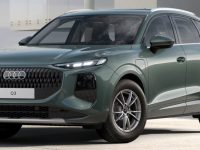 Immagine anteriore salvia