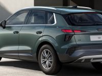 Immagine laterale salvia